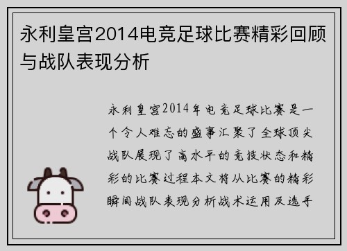 永利皇宫2014电竞足球比赛精彩回顾与战队表现分析