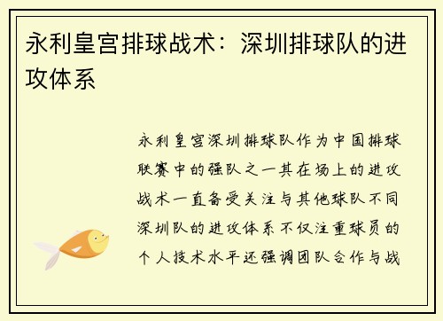 永利皇宫排球战术：深圳排球队的进攻体系